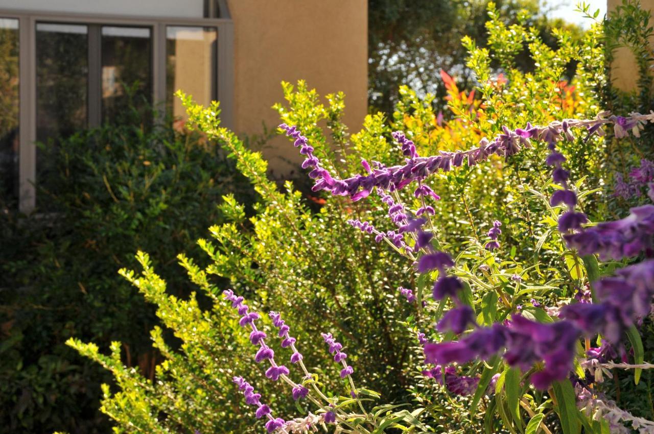 Villa Had Nes 229 Exterior foto